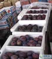 巨力王李子、黑宝石李子、黑总统李子的产地价格与供应信息